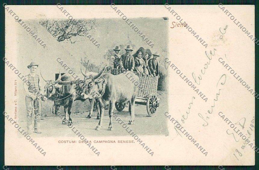 Siena Città Costumi Carro Buoi cartolina QQ1734 – fronte