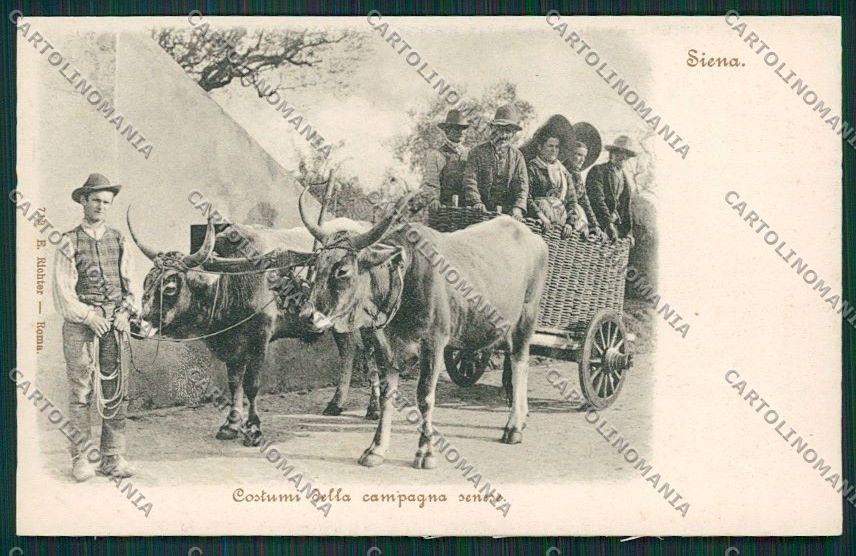 Siena Città Costumi Carro Buoi cartolina QQ1738 – fronte
