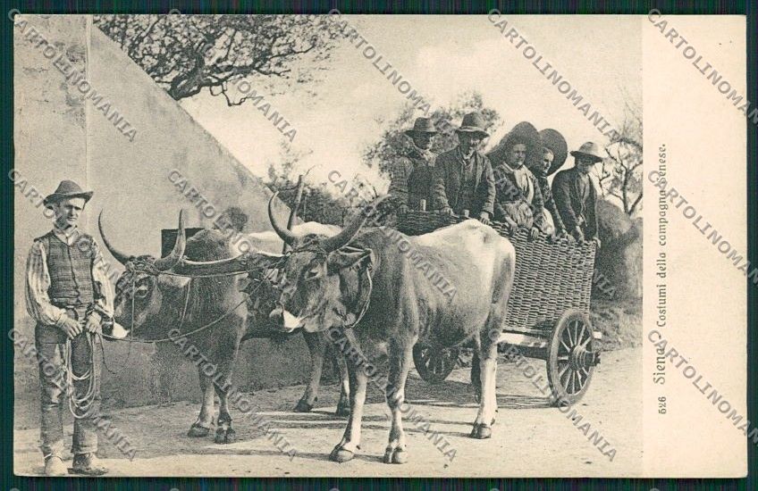 Siena Città Costumi Carro Buoi cartolina QQ1739 – fronte