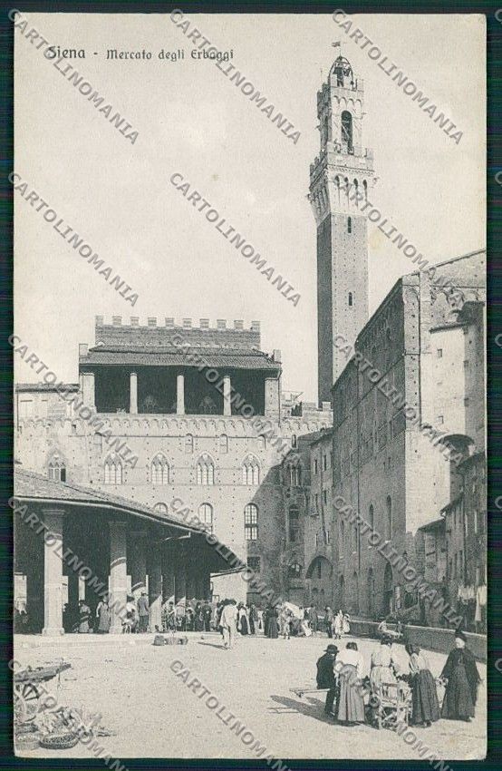 Siena Città Mercato cartolina QQ1742 – fronte