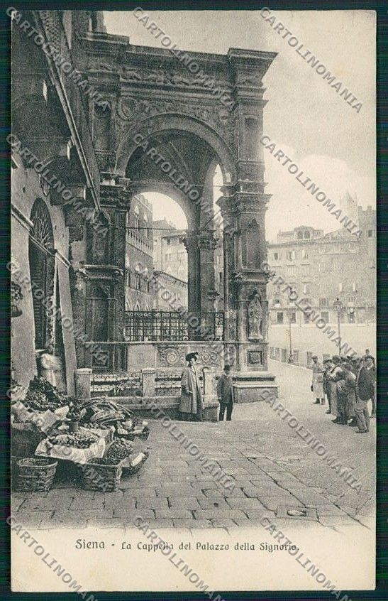 Siena Città Mercato cartolina QQ1746 – fronte