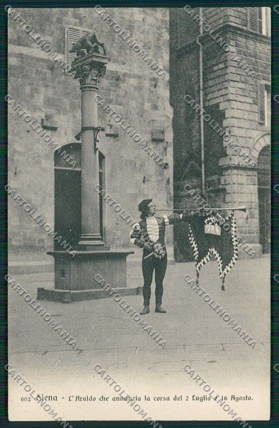 Siena Città Palio cartolina QQ1791 – fronte