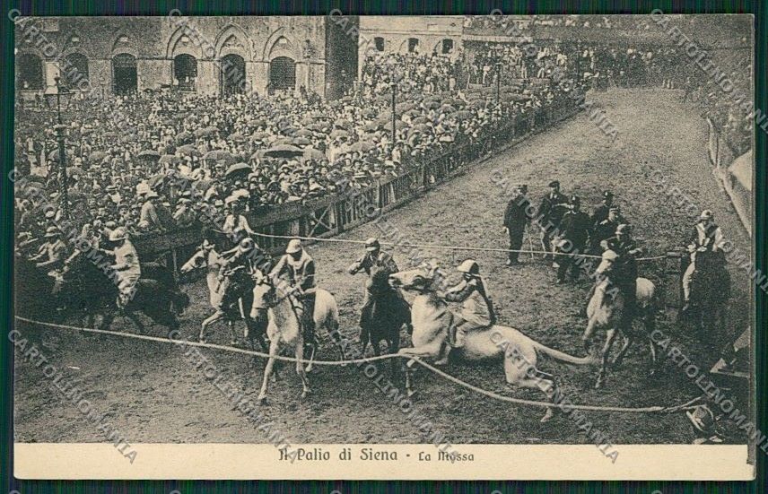Siena Città Palio cartolina QQ1816 – fronte