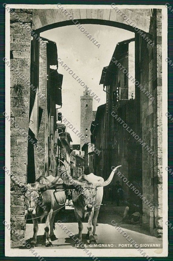 Siena San Gimignano Costumi COLLA Carro Buoi Foto cartolina QQ1858 – fronte
