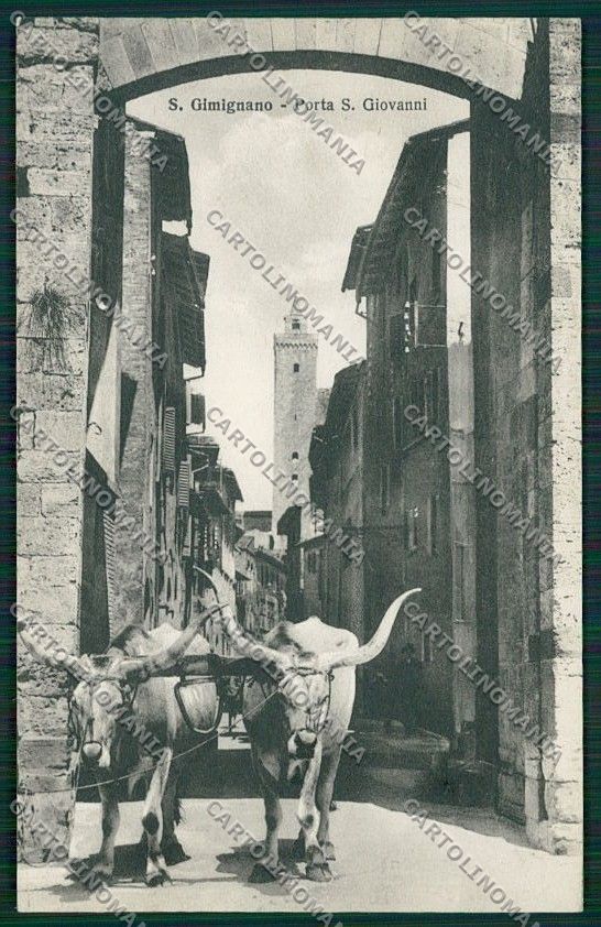 Siena San Gimignano Costumi Carro Buoi cartolina QQ1861 – fronte