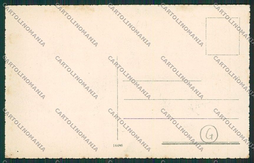 Siena Radicondoli Saluti da cartolina QQ1875 – retro