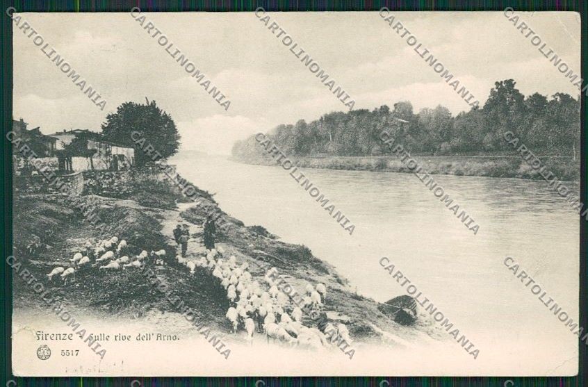 Firenze Città Pecore STRAPPINO cartolina QQ2052 – fronte