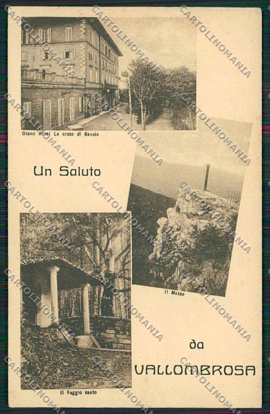 Firenze Vallombrosa Saluti da cartolina QQ2424 – fronte