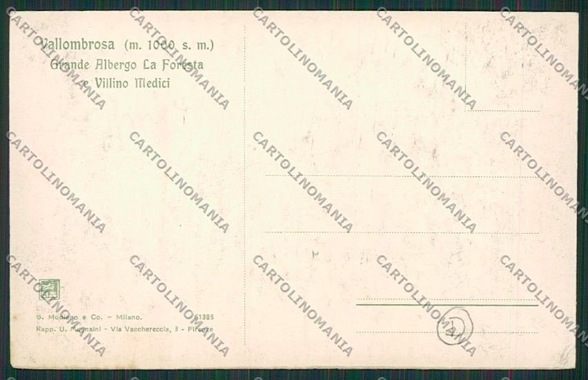 Firenze Vallombrosa TRACCE UMIDO cartolina QQ2427 – retro