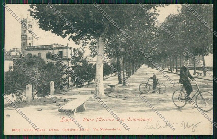 Lucca Città cartolina QQ2529 – fronte