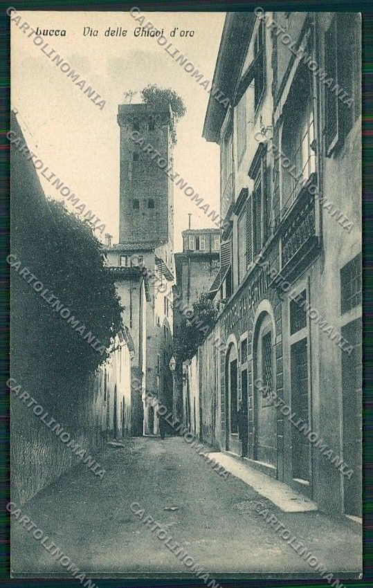 Lucca Città cartolina QQ2550 – fronte