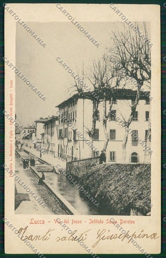 Lucca Città cartolina QQ2552 – fronte