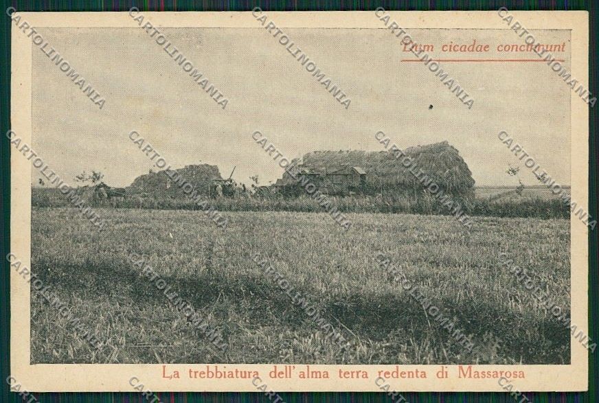 Lucca Coreglia Antelminelli Massarosa Trebbiatura cartolina QQ2623 – fronte