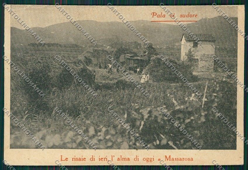 Lucca Coreglia Antelminelli Massarosa Trebbiatura ABRASA cartolina QQ2624 – fronte