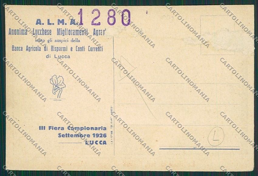 Lucca Coreglia Antelminelli Massarosa Trebbiatura ABRASA cartolina QQ2624 – retro