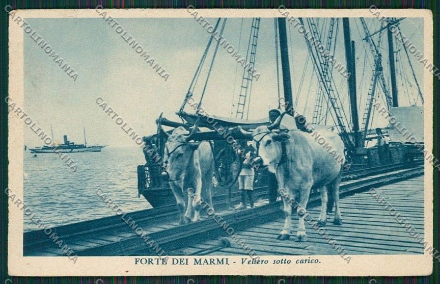 Lucca Forte dei Marmi PIEGA cartolina QQ2666 – fronte