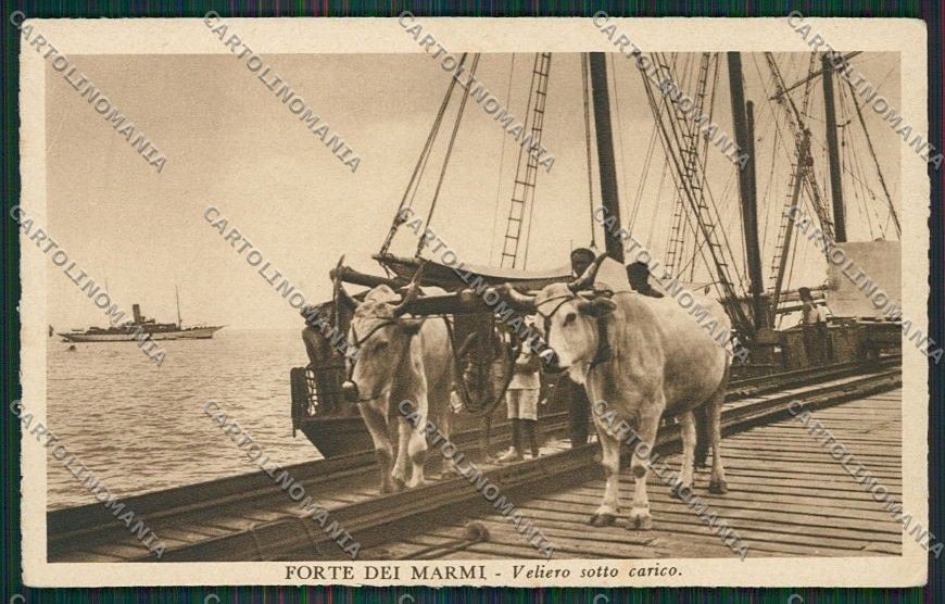 Lucca Forte dei Marmi cartolina QQ2684 – fronte