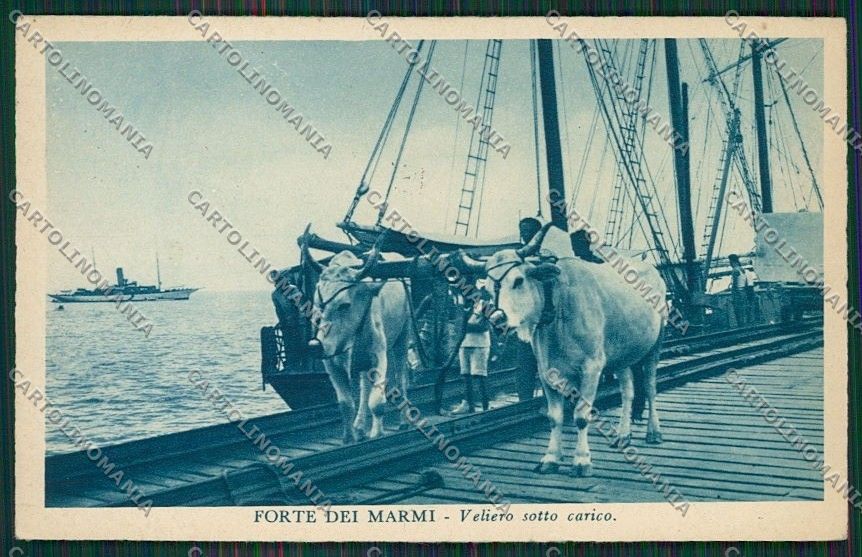 Lucca Forte dei Marmi cartolina QQ2691 – fronte