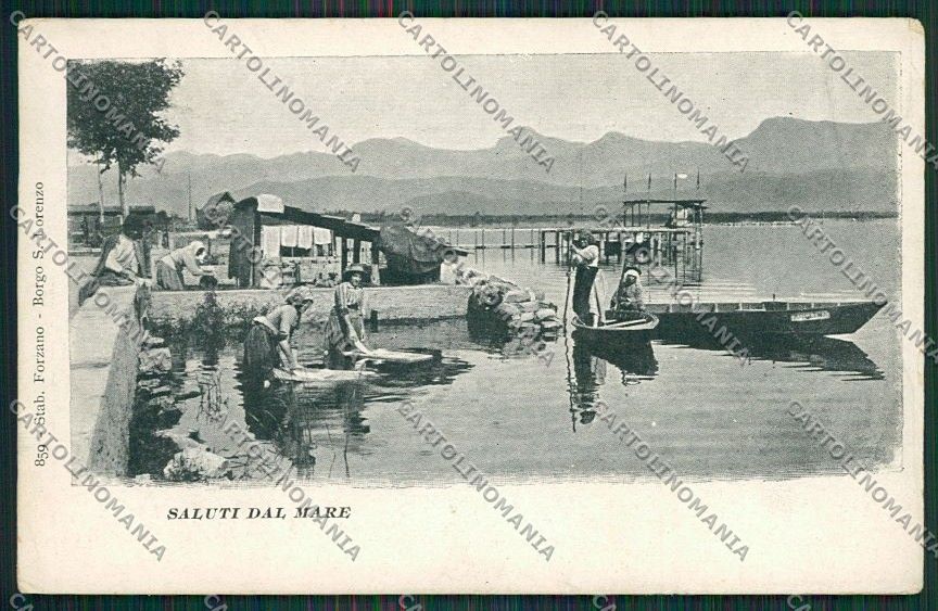 Lucca Massaciuccoli cartolina QQ2700 – fronte