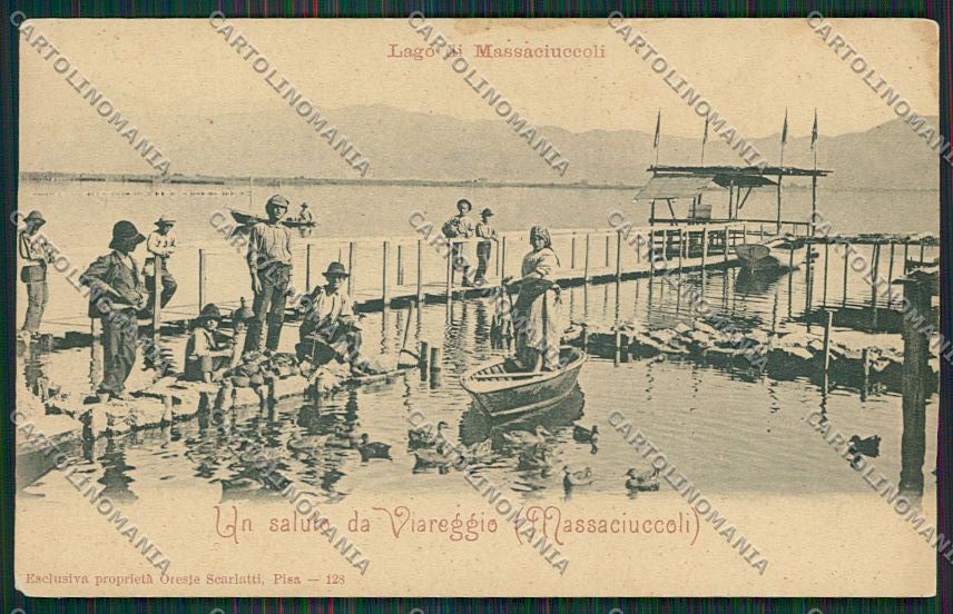 Lucca Massaciuccoli cartolina QQ2704 – fronte