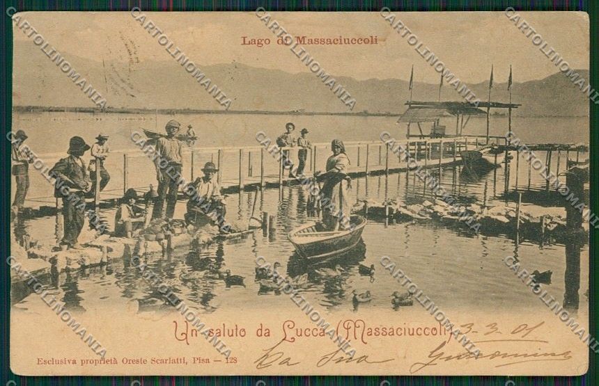 Lucca Massaciuccoli cartolina QQ2705 – fronte
