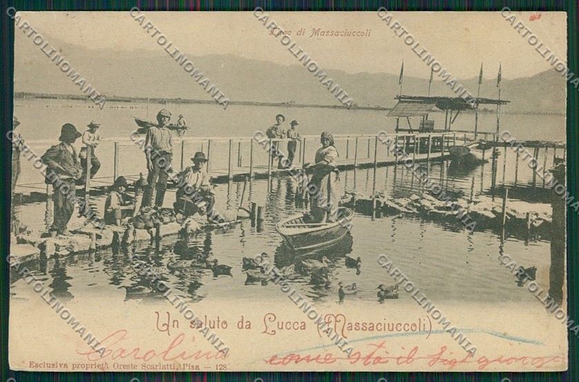 Lucca Massaciuccoli cartolina QQ2706 – fronte