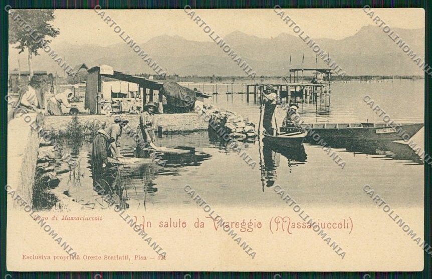 Lucca Massaciuccoli cartolina QQ2709 – fronte