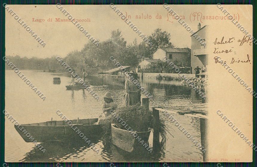 Lucca Massaciuccoli cartolina QQ2710 – fronte
