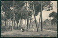 Lucca Pietrasanta Tonfano SCOLLATA cartolina QQ2731 – fronte