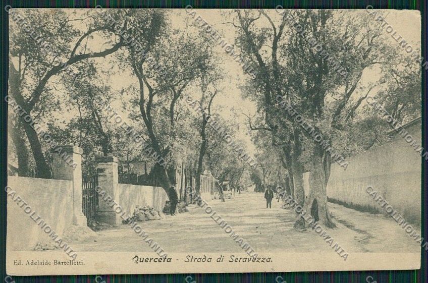 Lucca Seravezza Querceta cartolina QQ2761 – fronte