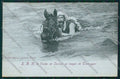 Lucca Viareggio cartolina QQ2836 – fronte