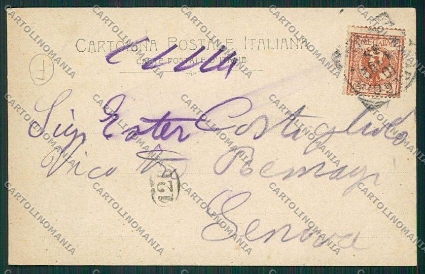 Lucca Viareggio cartolina QQ2856 – retro