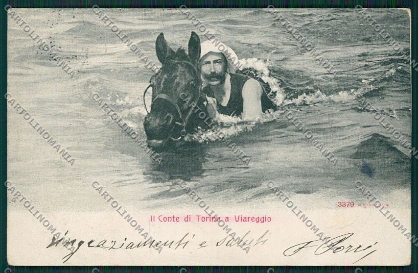 Lucca Viareggio Alterocca 3379 cartolina QQ2863 – fronte