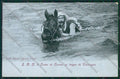Lucca Viareggio cartolina QQ2864 – fronte