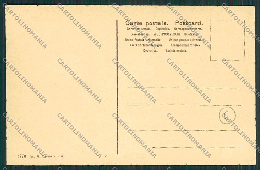 Pisa Città cartolina QQ3119 – retro