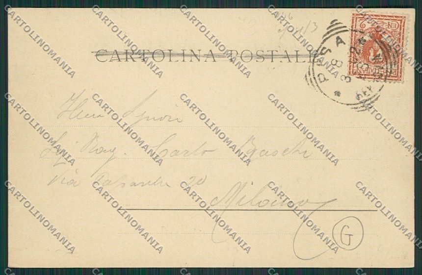 Pisa Città Alluvione cartolina QQ3151 – retro