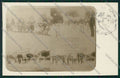 Pisa Città Militari Foto cartolina QQ3166 – fronte