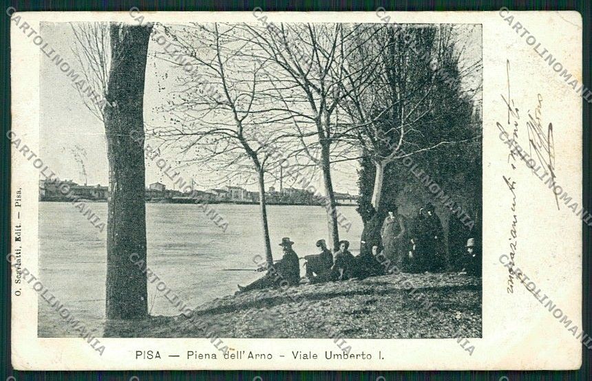 Pisa Città Alluvione cartolina QQ3180 – fronte
