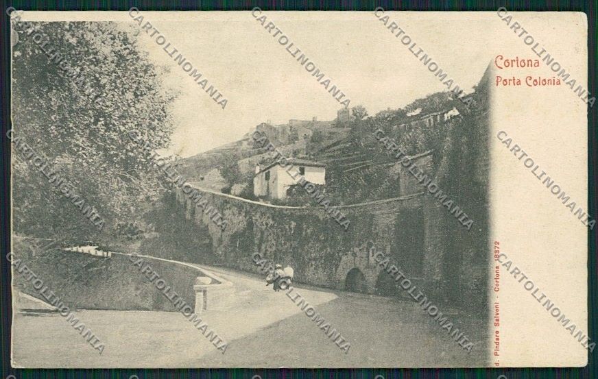 Arezzo Cortona cartolina QQ3375 – fronte