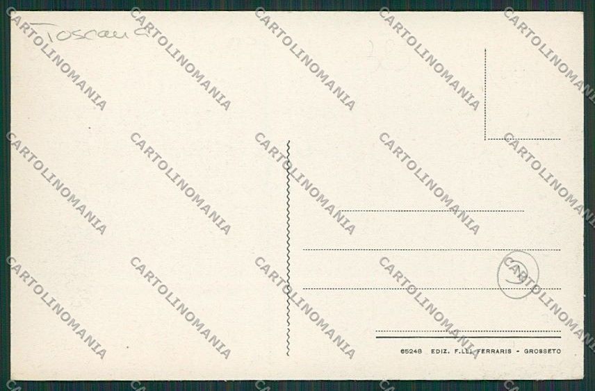 Grosseto Città cartolina QQ3420 – retro
