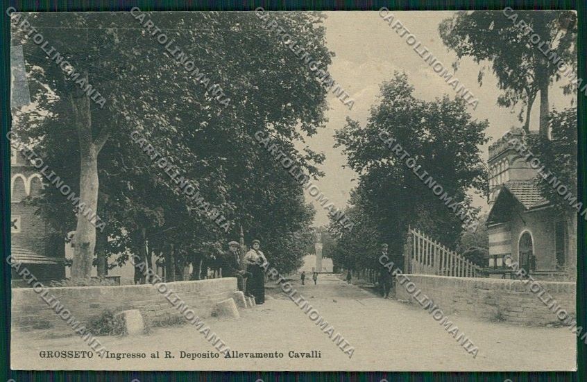Grosseto Città cartolina QQ3439 – fronte