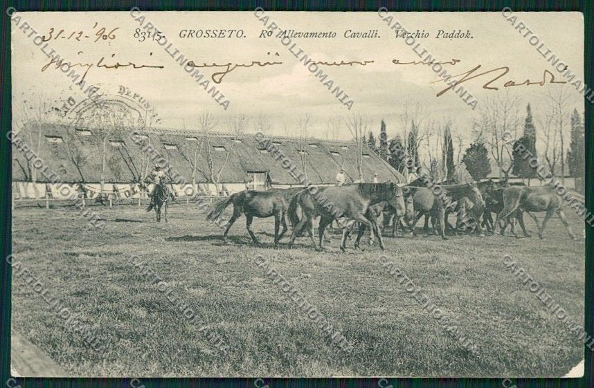 Grosseto Città cartolina QQ3446 – fronte