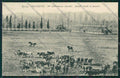 Grosseto Città Militari cartolina QQ3449 – fronte