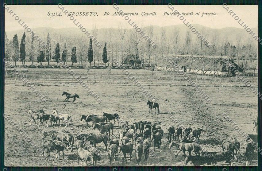 Grosseto Città Militari cartolina QQ3449 – fronte