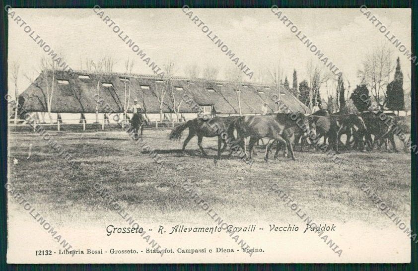 Grosseto Città Militari cartolina QQ3450 – fronte
