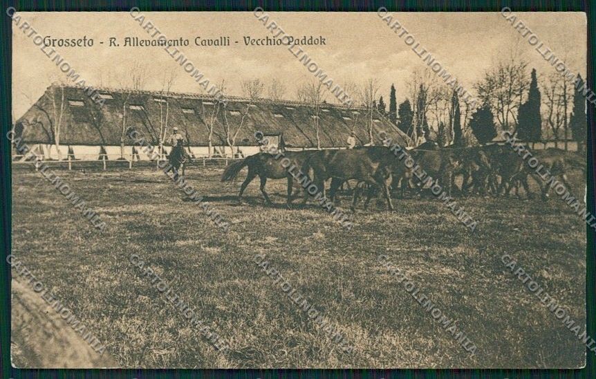 Grosseto Città Militari cartolina QQ3451 – fronte