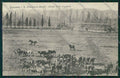 Grosseto Città Militari cartolina QQ3456 – fronte
