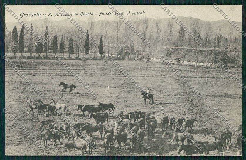 Grosseto Città Militari cartolina QQ3456 – fronte