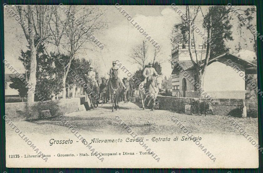 Grosseto Città Militari cartolina QQ3462 – fronte