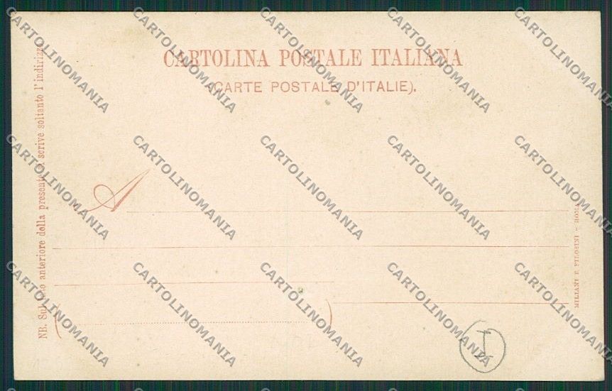 Grosseto Città cartolina QQ3464 – retro